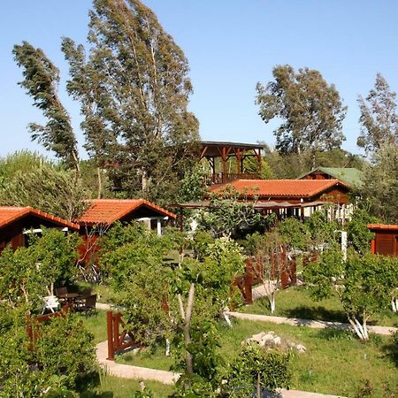 מלון La Boutique Hemerans Çıralı מראה חיצוני תמונה